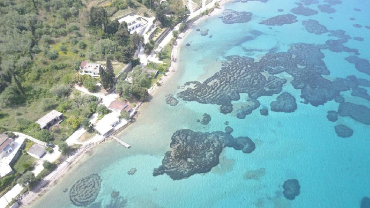 Blue Horizon Βίλα Μπούκαρι Εξωτερικό φωτογραφία