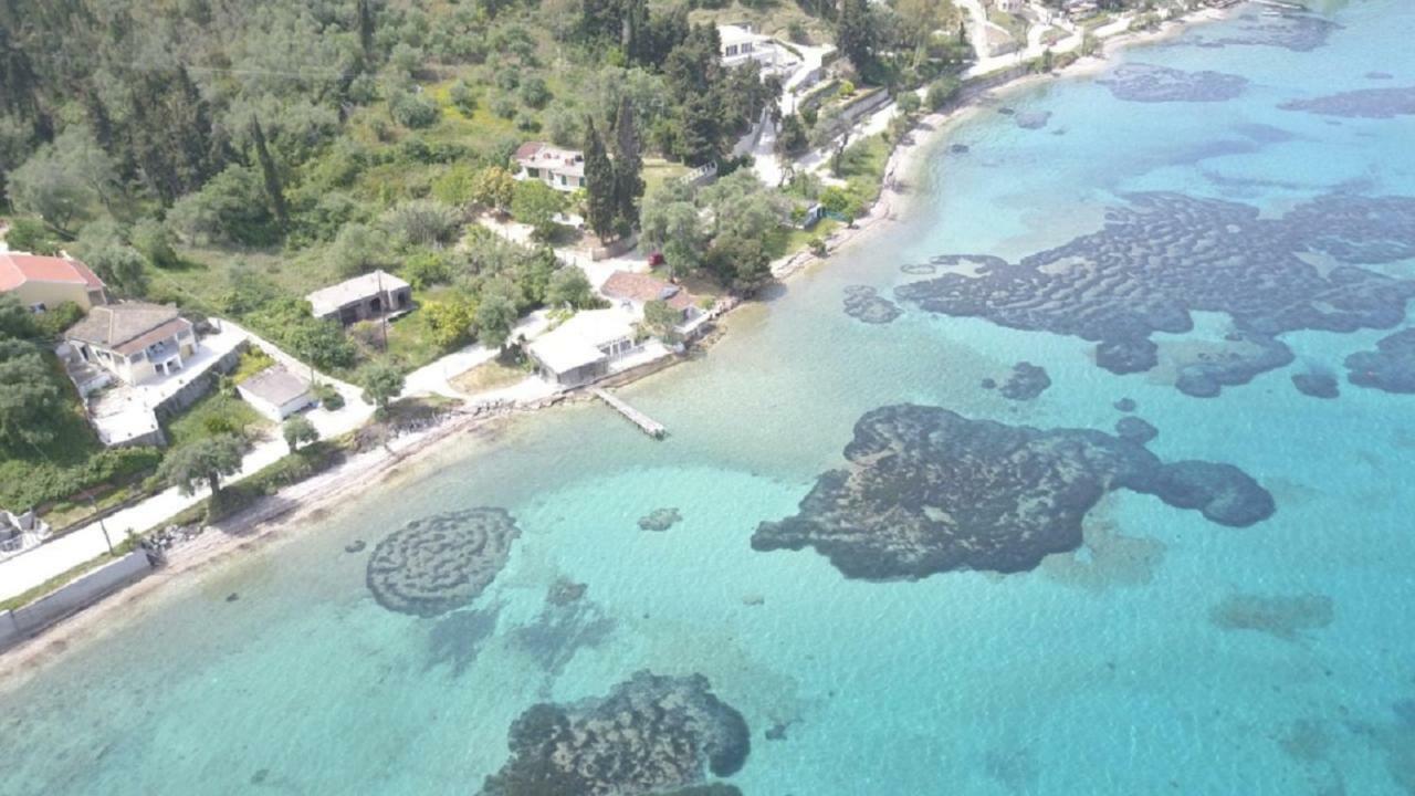 Blue Horizon Βίλα Μπούκαρι Εξωτερικό φωτογραφία